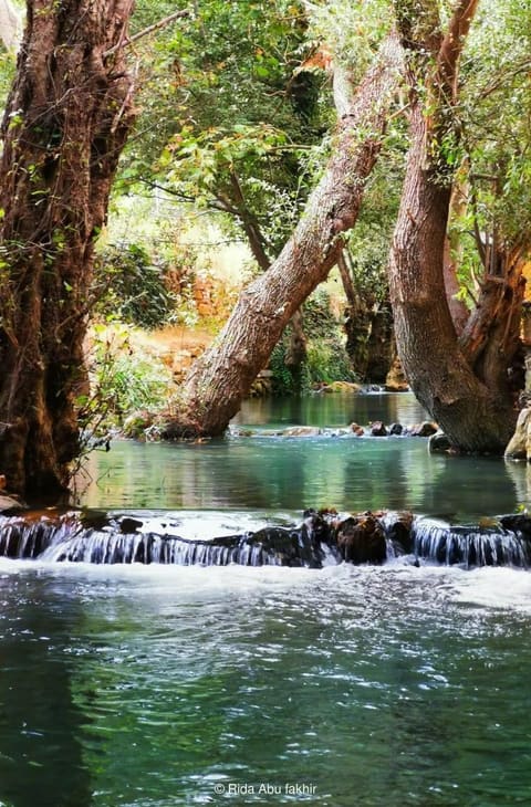 Montazah Al Jisr — photograph 2
