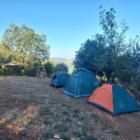 3ammi Melik Camp — photograph 2