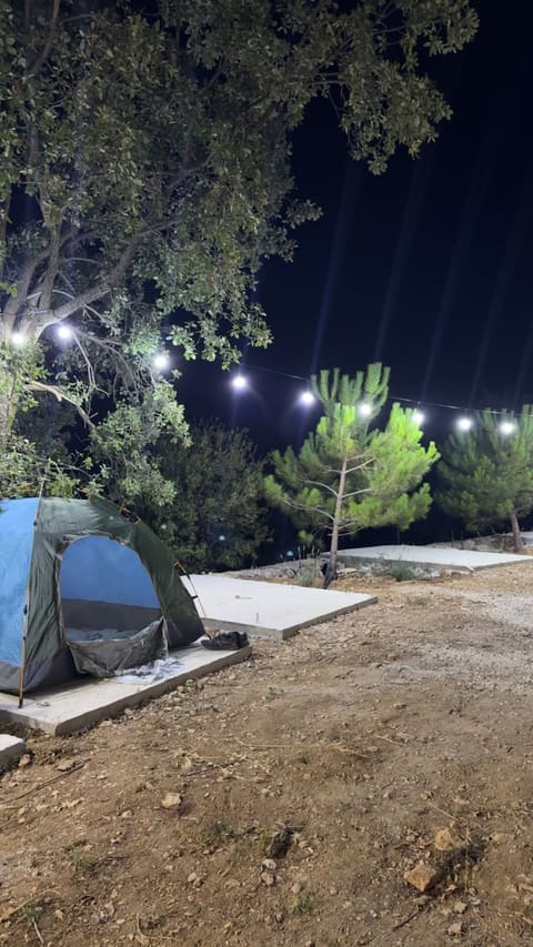 3ammi Melik Camp — photograph 4