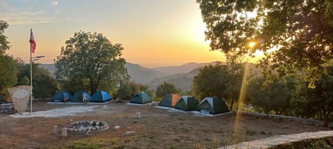 3ammi Melik Camp — photograph 5