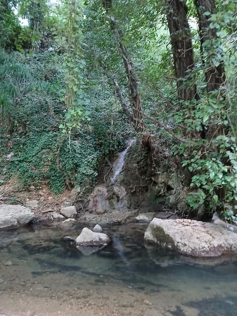 Batloun — photograph 3