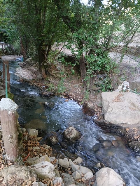 Batloun — photograph 5