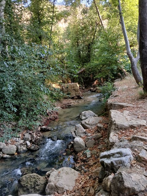 Batloun — photograph 6