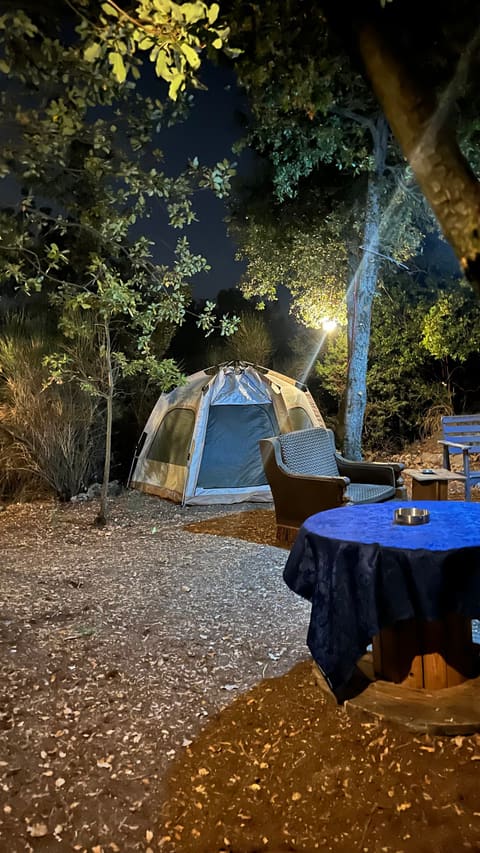 The Oak Campsite — photograph 2