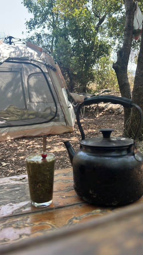The Oak Campsite — photograph 6