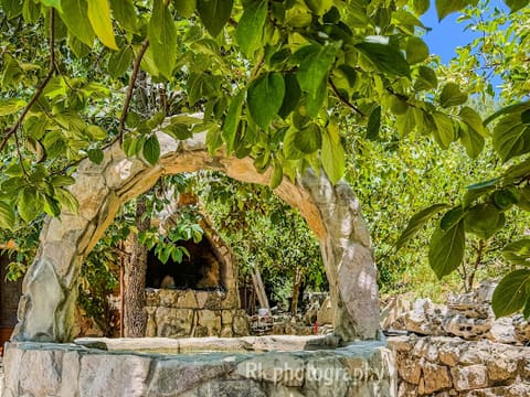 Green Roof Guesthouse — photograph 4