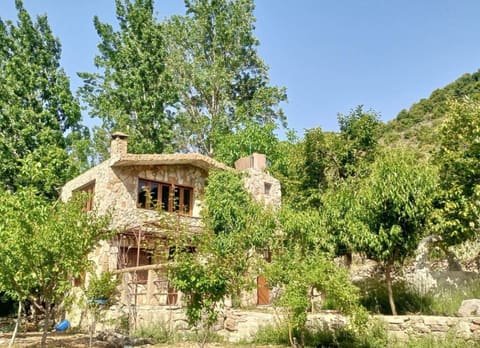 Green Roof Guesthouse — photograph 6