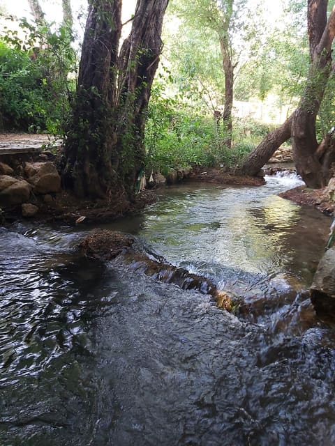 Barouk River — photograph 4