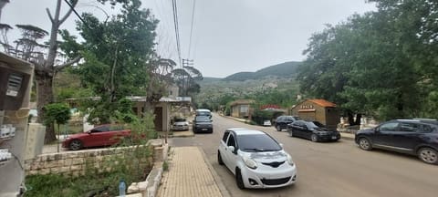 Barouk River — photograph 6