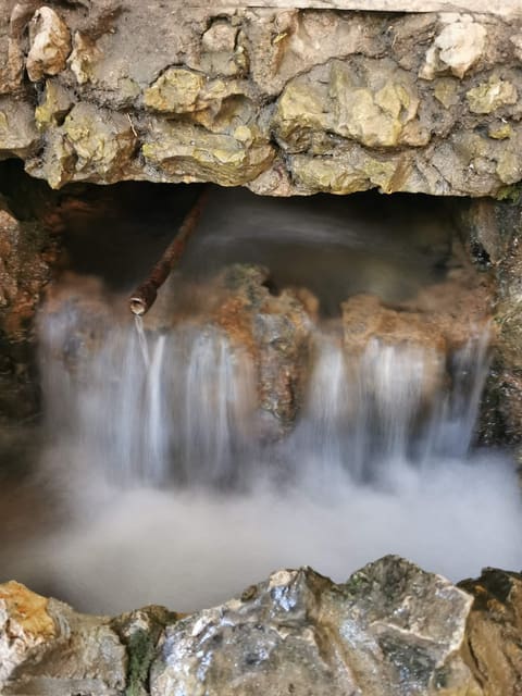 Mataam Shallalat Nabaat Al Safa — photograph 6