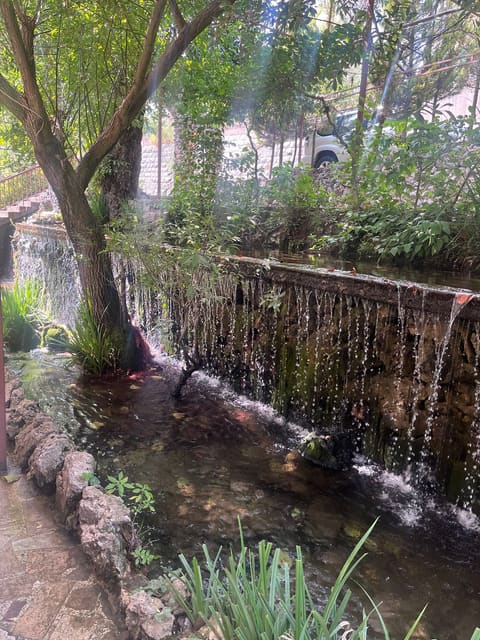 Restaurant Aljazira — photograph 3