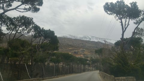 Al Sanawbar - Restaurant — photograph 2