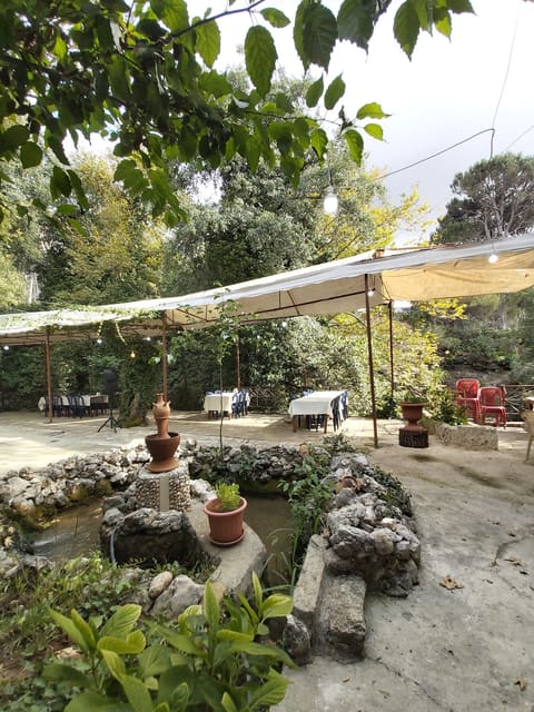 Al Safa Al Kabir - Restaurant — photograph 2