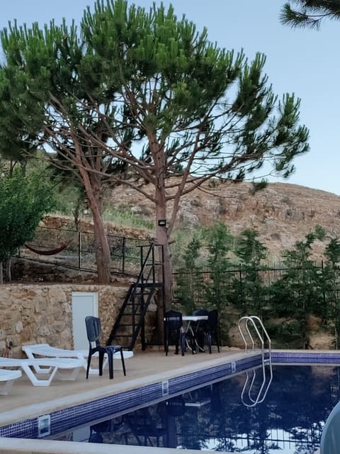 Restful Guesthouse — photograph 4
