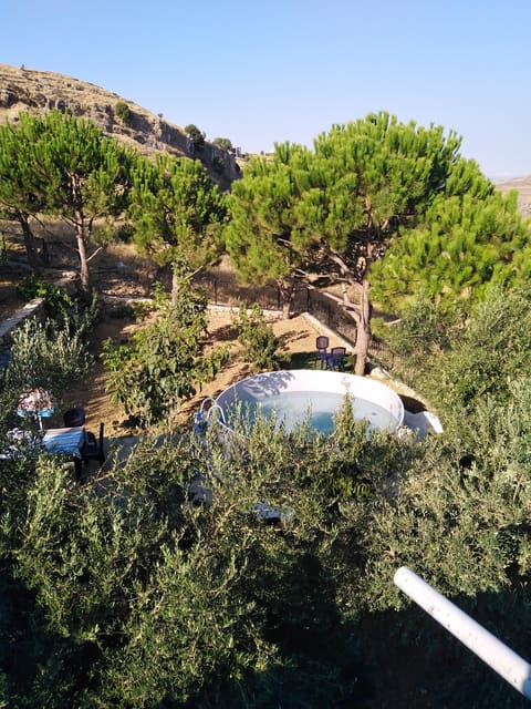 Restful Guesthouse — photograph 6
