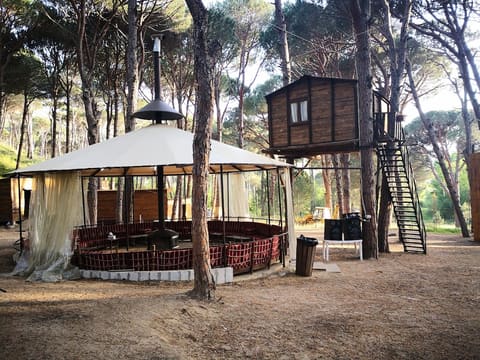 Valley Camp — photograph 6