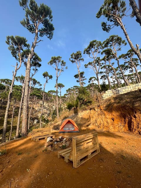 Snawbra — photograph 2