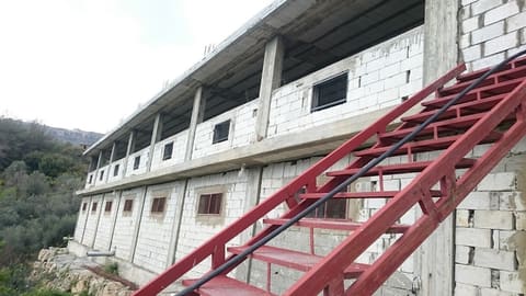 Abo hamdan farm — photograph 2