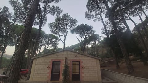 BEIT EL SAFA — photograph 2