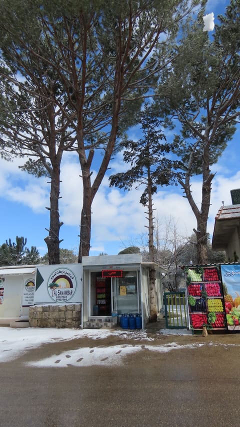 Bakery w Mini Market Al Sanawbar — photograph 4