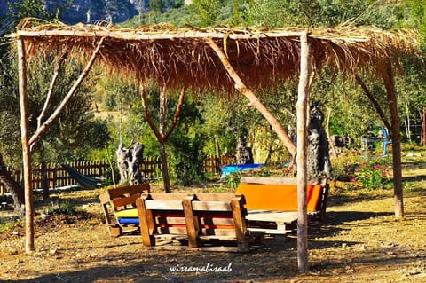 Berket Al Arous - Bungalows and Campsite — photograph 3