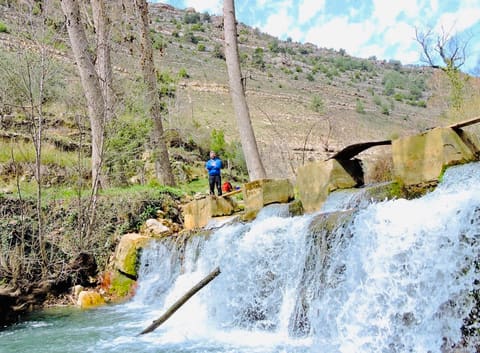 Riverstone Ecotourism — photograph 6