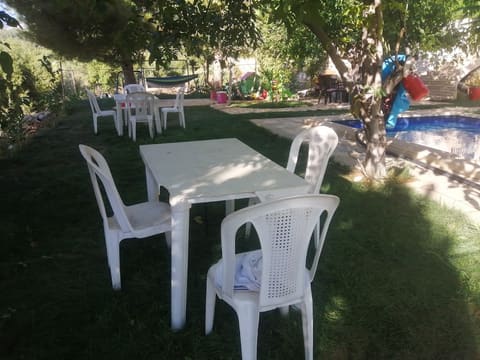 Samqaniyeh Public Park — photograph 2