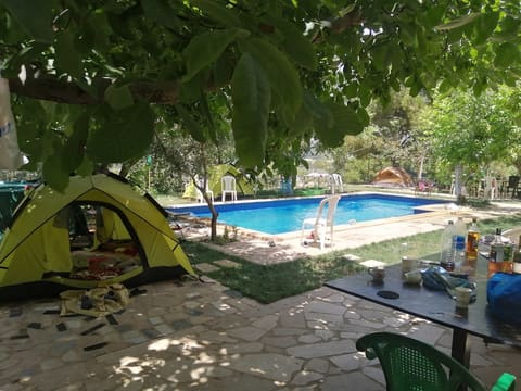 Samqaniyeh Public Park — photograph 4