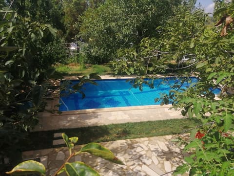 Samqaniyeh Public Park — photograph 6