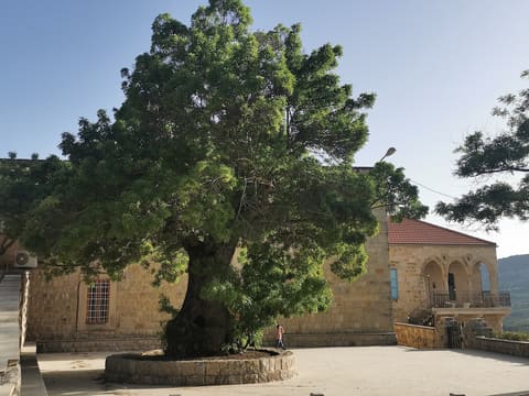 Al Saydeh Catholic Church — photograph 3