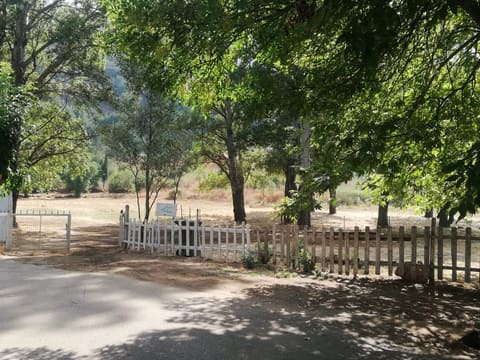 Ghebet El Chbaniyeh — photograph 4