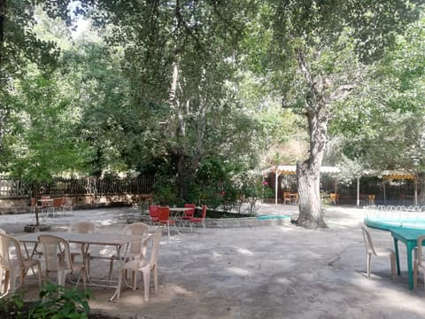 Ghebet El Chbaniyeh — photograph 5