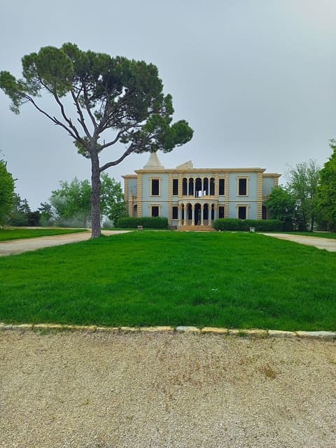 Saoufar — photograph 6