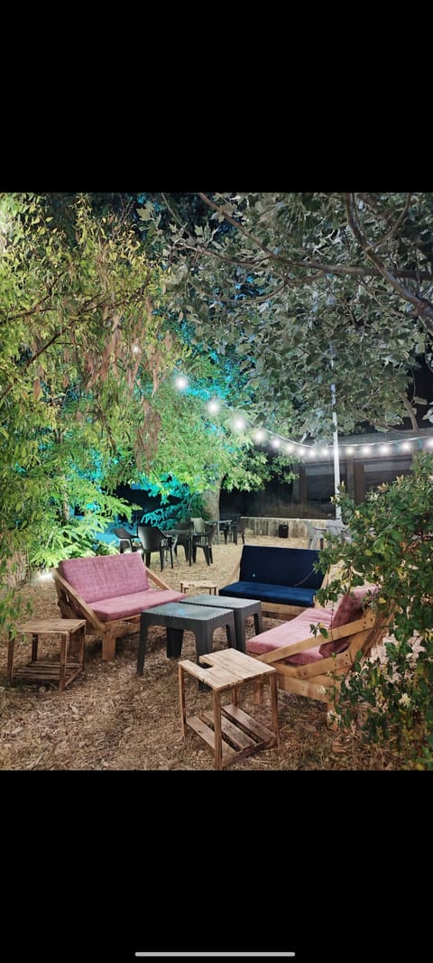 Sawfar Vibes — photograph 3