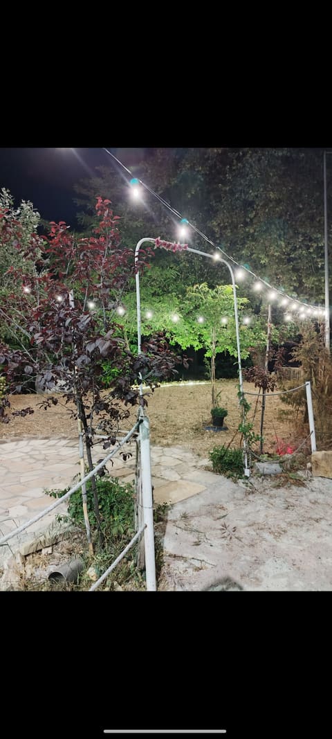Sawfar Vibes — photograph 4
