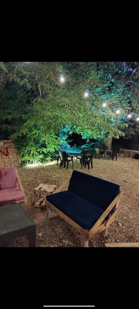 Sawfar Vibes — photograph 5