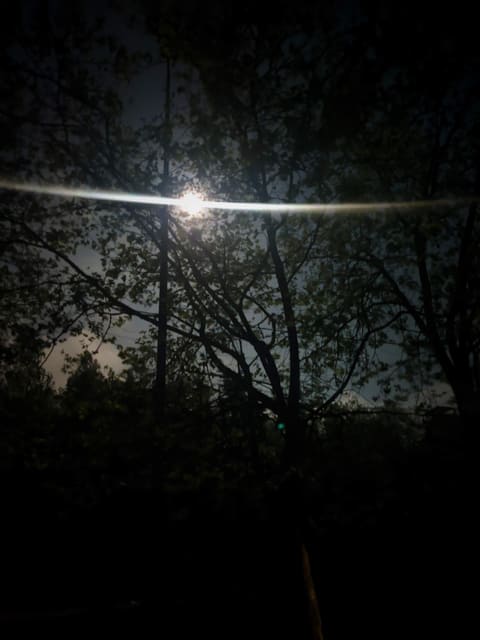 3emaret Al Rasees Sofar — photograph 6