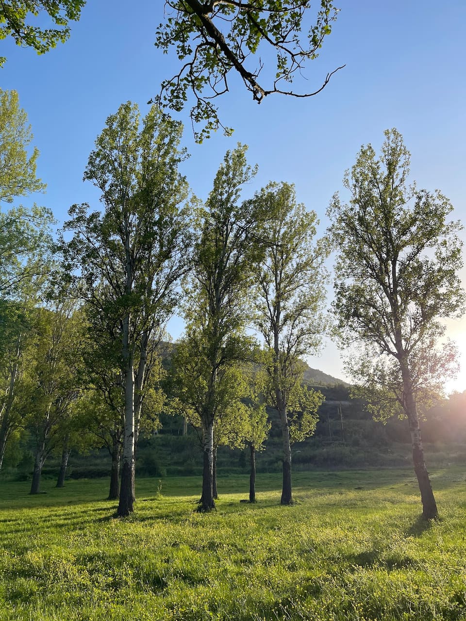 Public Park