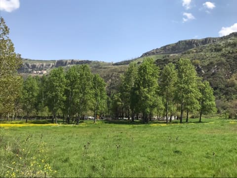 Public Park — photograph 3