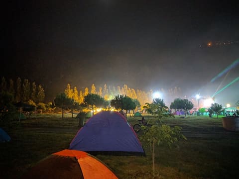 Public Park — photograph 5
