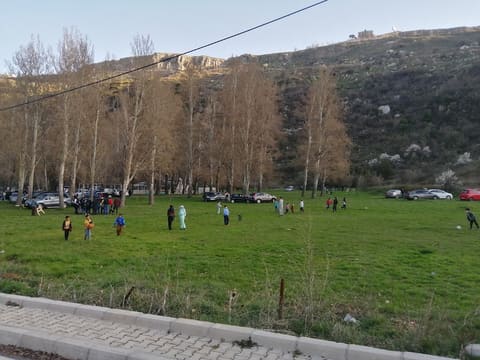 Public Park — photograph 6
