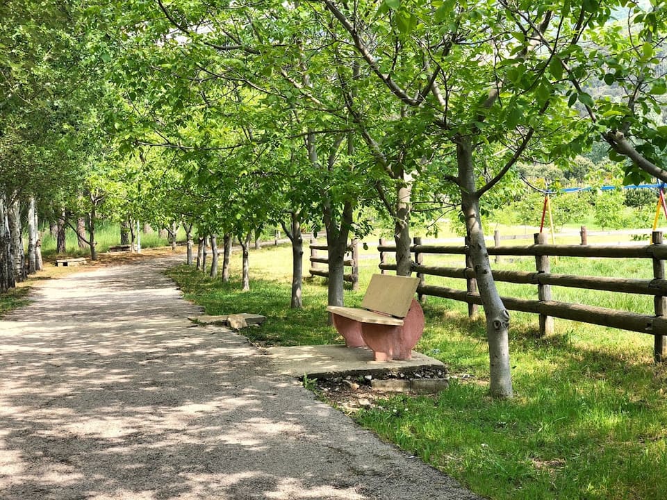Chebanieh Forest
