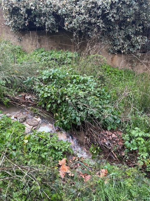 Slimss riverr — photograph 2