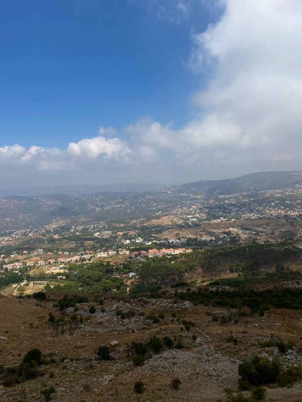 Sawfar