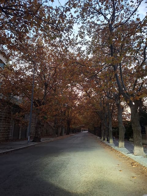 Sawfar — photograph 4