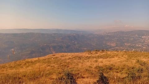 Sawfar — photograph 5