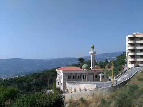 Mosque Al Nabi Elias — photograph 6