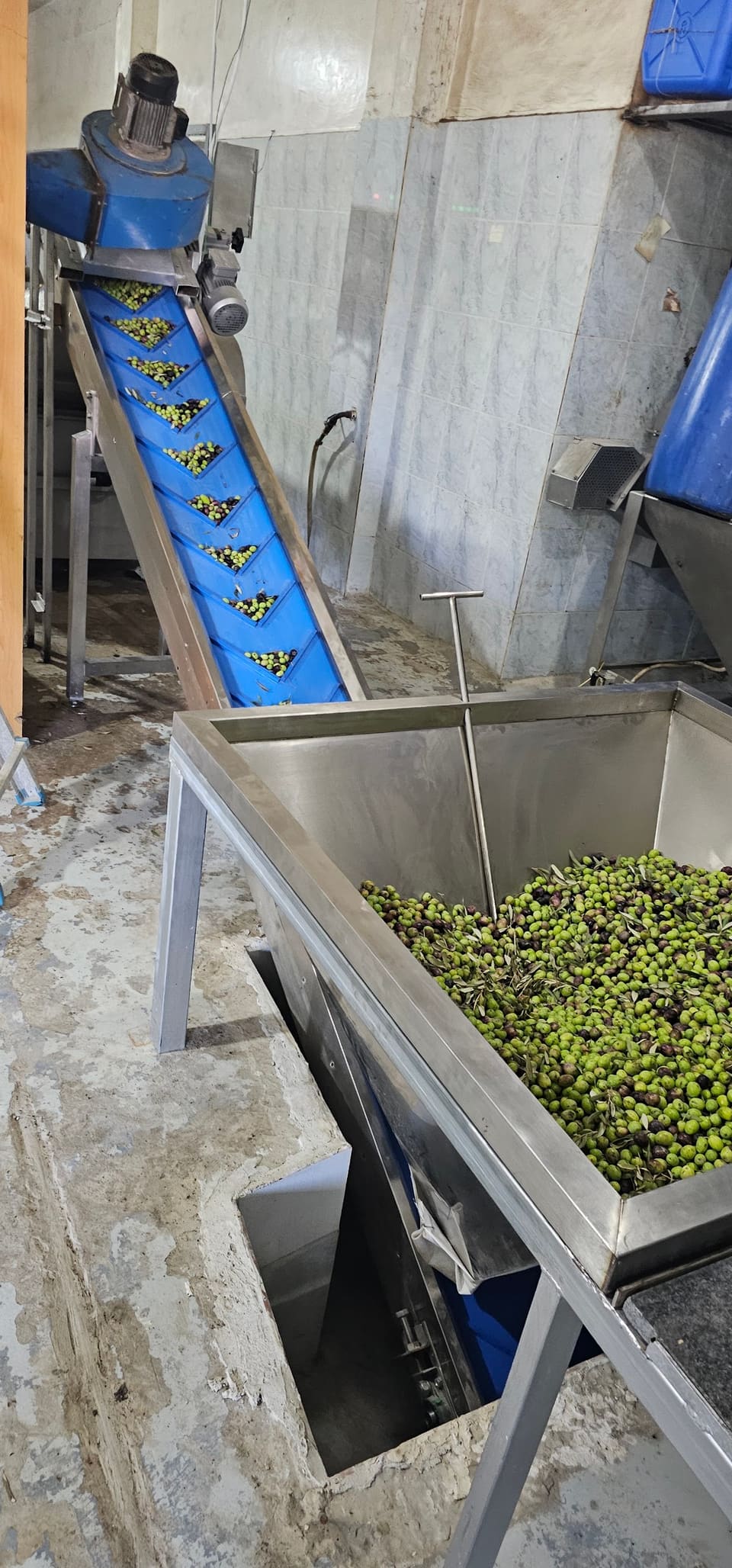 Al-Nour OLIVE HOUSE