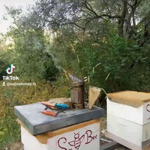 Sabeehoney