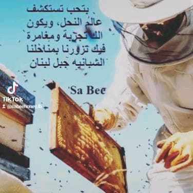 Sabeehoney — photograph 6